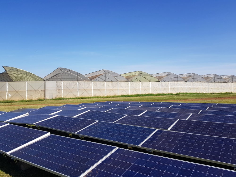 découvrez comment revendre votre électricité produite grâce à edf. optimisez vos gains et contribuez à une énergie plus verte en suivant nos conseils pratiques et nos astuces pour une revente profitable.