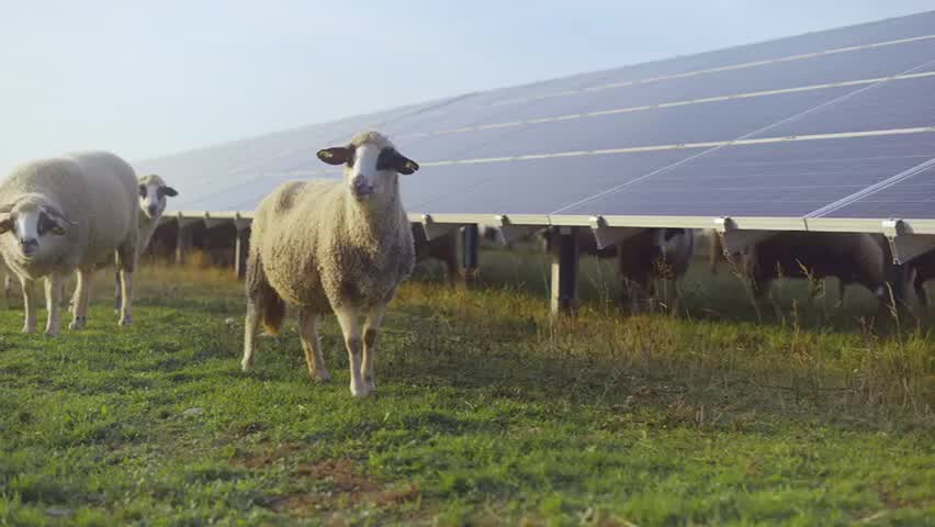 découvrez les prix des terrains photovoltaïques et les facteurs influençant leur valeur. informez-vous sur les opportunités d'investissement dans l'énergie solaire et optimisez votre projet d'installation de panneaux solaires avec nos conseils pratiques.