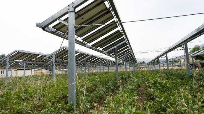 découvrez comment les panneaux solaires fermiers transforment l'agriculture durable en offrant une source d'énergie renouvelable tout en réduisant les coûts. informez-vous sur les avantages environnementaux et économiques pour les exploitations agricoles.