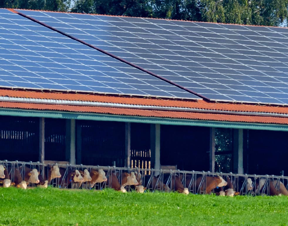 découvrez tout ce qu'il faut savoir sur les bâtiments agricoles photovoltaïques : leur prix, leurs avantages économiques et environnementaux, ainsi que les enjeux liés à leur installation. informez-vous sur les solutions durables pour l'agriculture moderne.