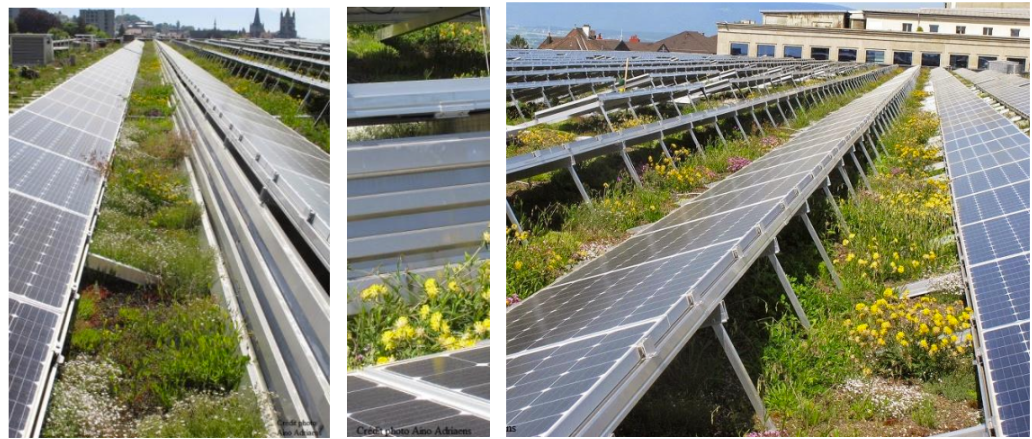 découvrez l'impact des toits photovoltaïques sur l'environnement et l'économie. explorez comment ces installations solaires contribuent à la réduction des émissions de co2, à la valorisation des bâtiments et à la transition vers des sources d'énergie renouvelables.