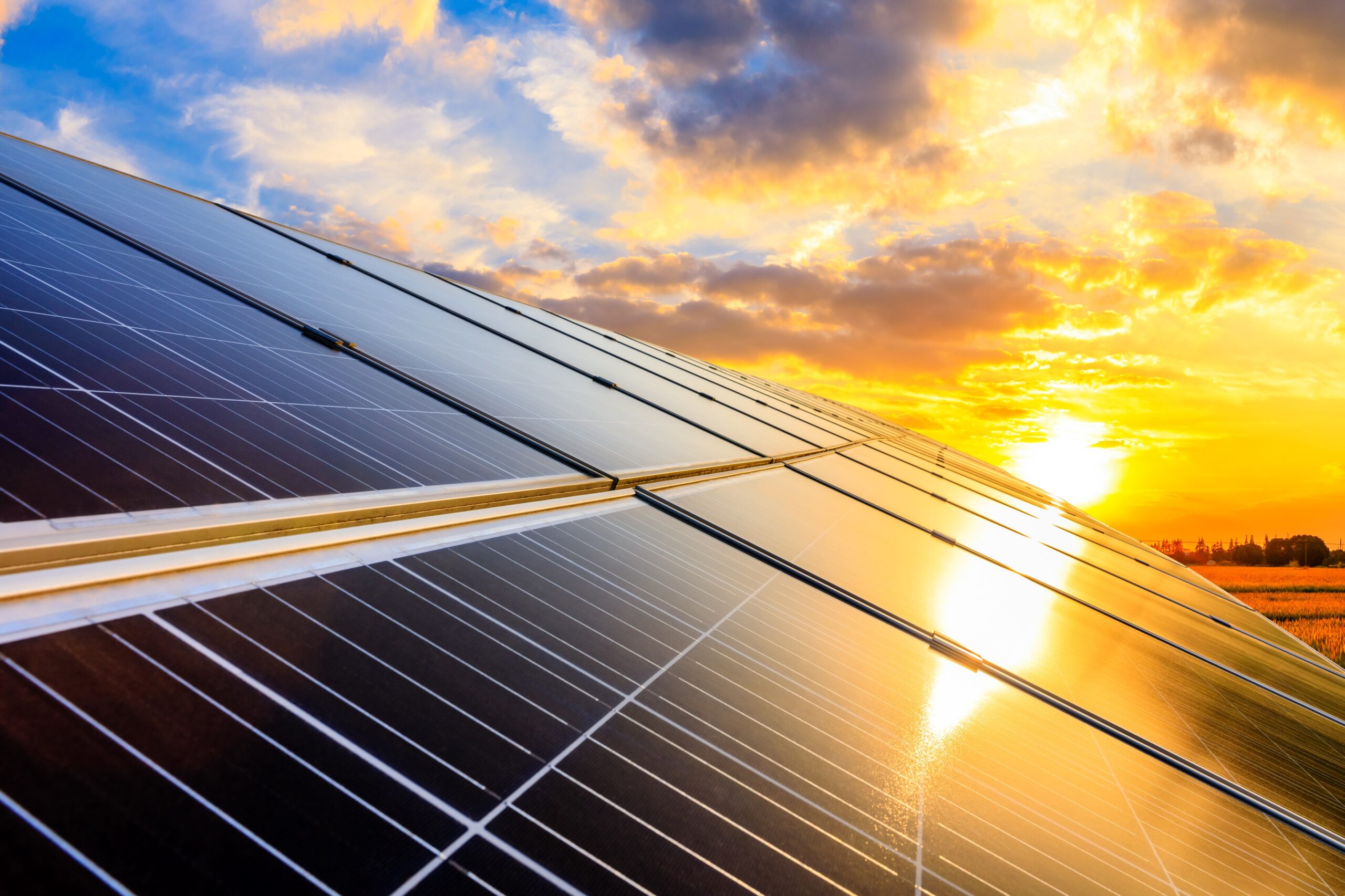 découvrez les enjeux environnementaux liés à l'utilisation des fenêtres photovoltaïques. cette analyse approfondie met en lumière les avantages écologiques, les défis de production et les solutions durables pour minimiser l'impact sur notre planète tout en maximisant l'efficacité énergétique.