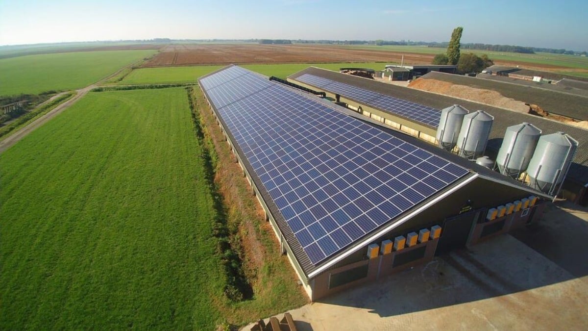 découvrez les prix des panneaux photovoltaïques spécialement conçus pour le secteur agricole. maximisez votre production tout en réduisant vos coûts énergétiques grâce à des solutions adaptées à vos besoins.