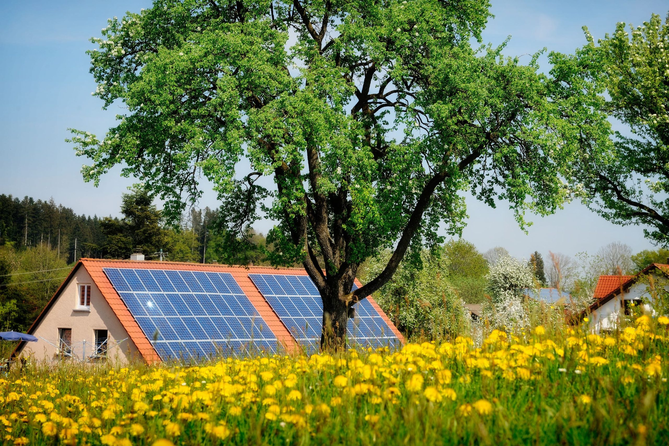 découvrez comment les ombres impactent l'efficacité de vos panneaux photovoltaïques. apprenez à identifier les problèmes d'ombre, leurs conséquences sur la production d'énergie, et les solutions pour optimiser votre installation solaire. maximisez votre rendement énergétique tout en profitant des avantages du solaire.