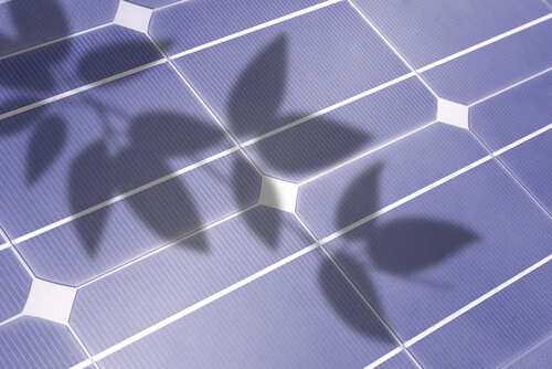 découvrez comment les problèmes d'ombre peuvent affecter l'efficacité de vos panneaux photovoltaïques. apprenez à identifier les sources d'ombre et explorez des solutions pour maximiser la production d'énergie de vos installations solaires.