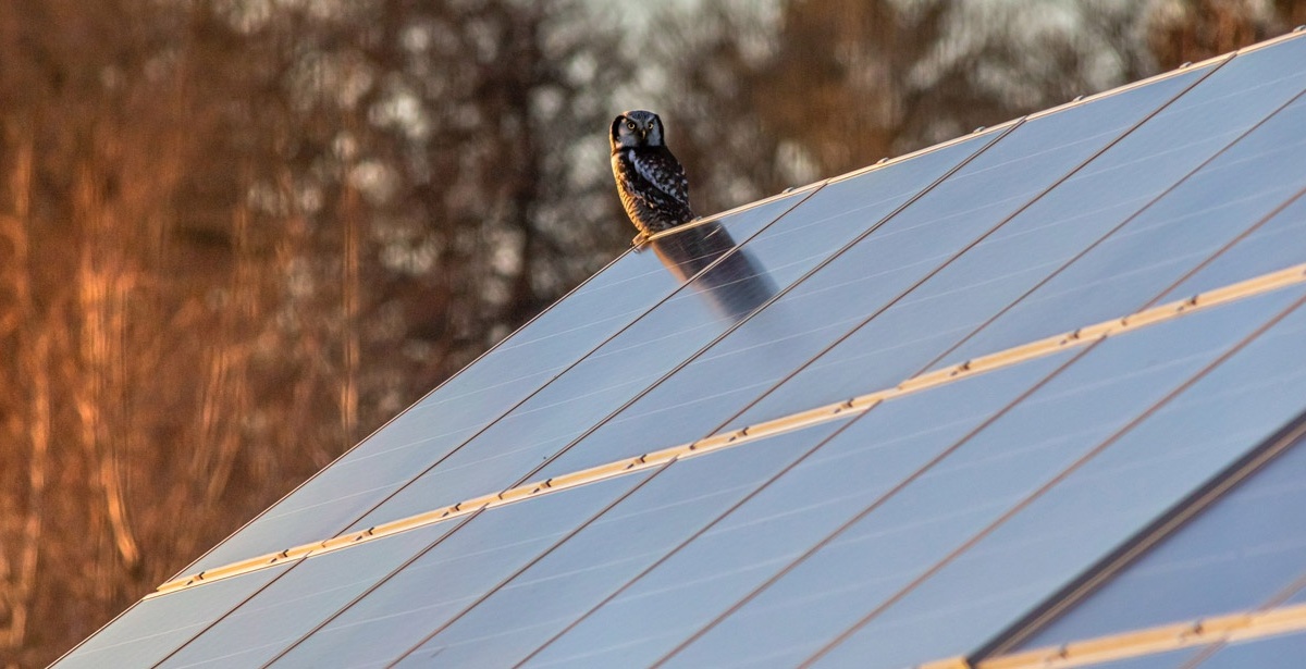 découvrez comment le recyclage des fenêtres photovoltaïques contribue à une économie circulaire durable, tout en préservant les ressources naturelles et en minimisant l'impact environnemental. informez-vous sur les méthodes innovantes et les enjeux du recyclage de ces technologies solaires.