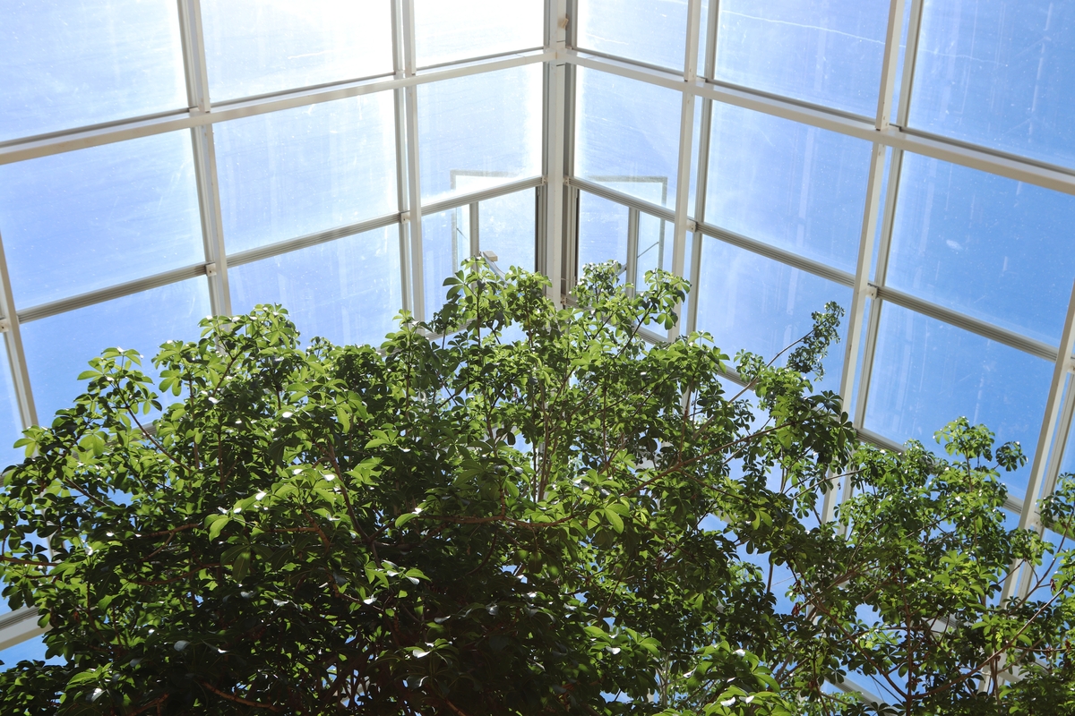 découvrez les avantages d'un toit photovoltaïque transparent, alliant esthétique moderne et production d'énergie renouvelable. transformez votre espace tout en bénéficiant d'une solution énergétique performante et respectueuse de l'environnement.
