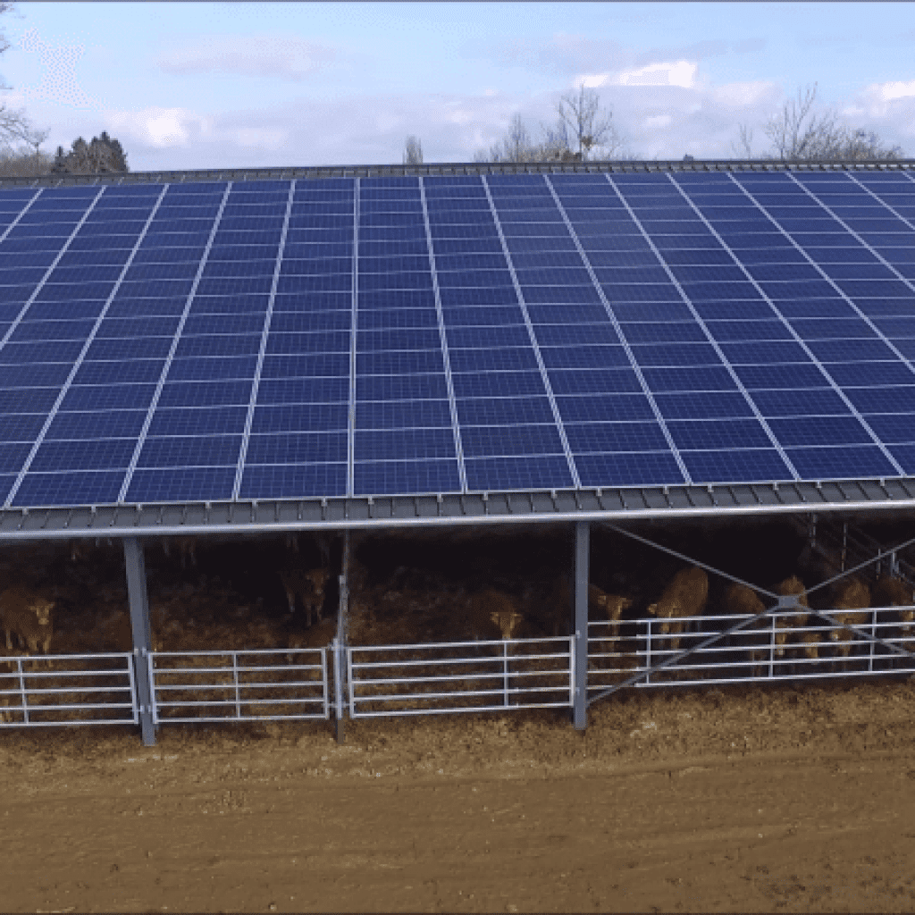 découvrez les subventions disponibles pour l'installation de panneaux solaires dans le secteur agricole. profitez d'aides financières et d'opportunités pour rendre votre exploitation plus durable et économiquement viable tout en contribuant à la transition énergétique.