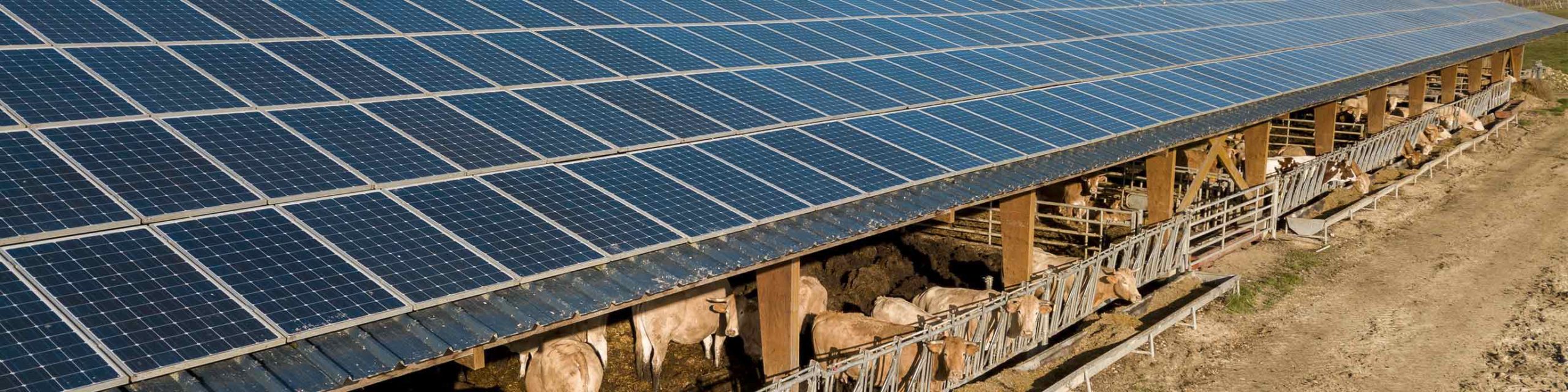 protégez votre investissement avec notre assurance dédiée aux panneaux solaires. découvrez nos solutions sur mesure qui garantissent la couverture des dommages, la perte de production et bien plus encore pour une tranquillité d'esprit totale.