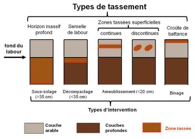 découvrez notre comparatif soleva, une analyse approfondie des différents produits et services offerts. trouvez le meilleur choix pour vos besoins grâce à notre évaluation détaillée et à nos conseils d'experts.