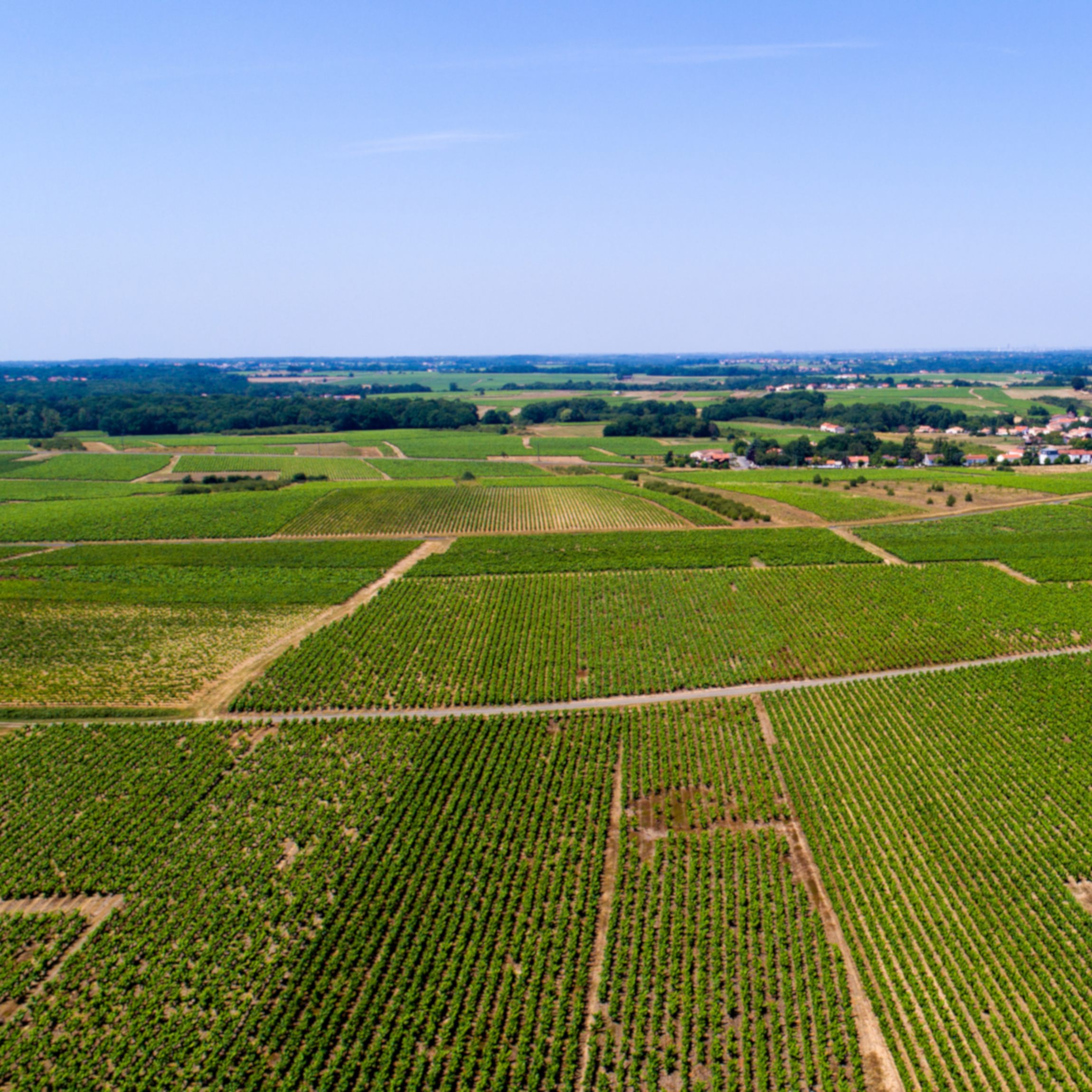 découvrez comment le bail emphytéotique peut devenir une stratégie avantageuse pour les investisseurs. profitez d'une analyse approfondie des bénéfices, des modalités et des meilleures pratiques pour maximiser votre rentabilité tout en respectant les réglementations en vigueur.
