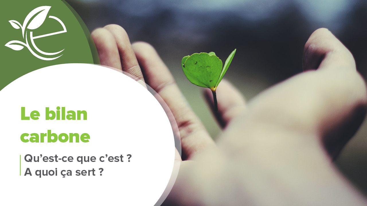 découvrez comment mesurer et réduire l'impact carbone de votre entreprise. adoptez des pratiques durables pour minimiser votre empreinte écologique tout en améliorant votre responsabilité sociale et votre image de marque.