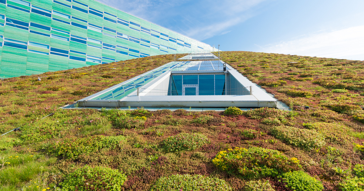 découvrez comment allier végétalisation et panneaux photovoltaïques sur les toits pour créer des espaces verts durables tout en produisant de l'énergie renouvelable. optimisez votre bâtiment avec cette solution écologique innovante.