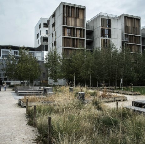 découvrez comment la transformation urbaine façonne nos villes modernes, alliant innovation architecturale et durabilité. plongez dans les projets qui redéfinissent l'espace urbain, améliorent la qualité de vie et favorisent des communautés plus résilientes.