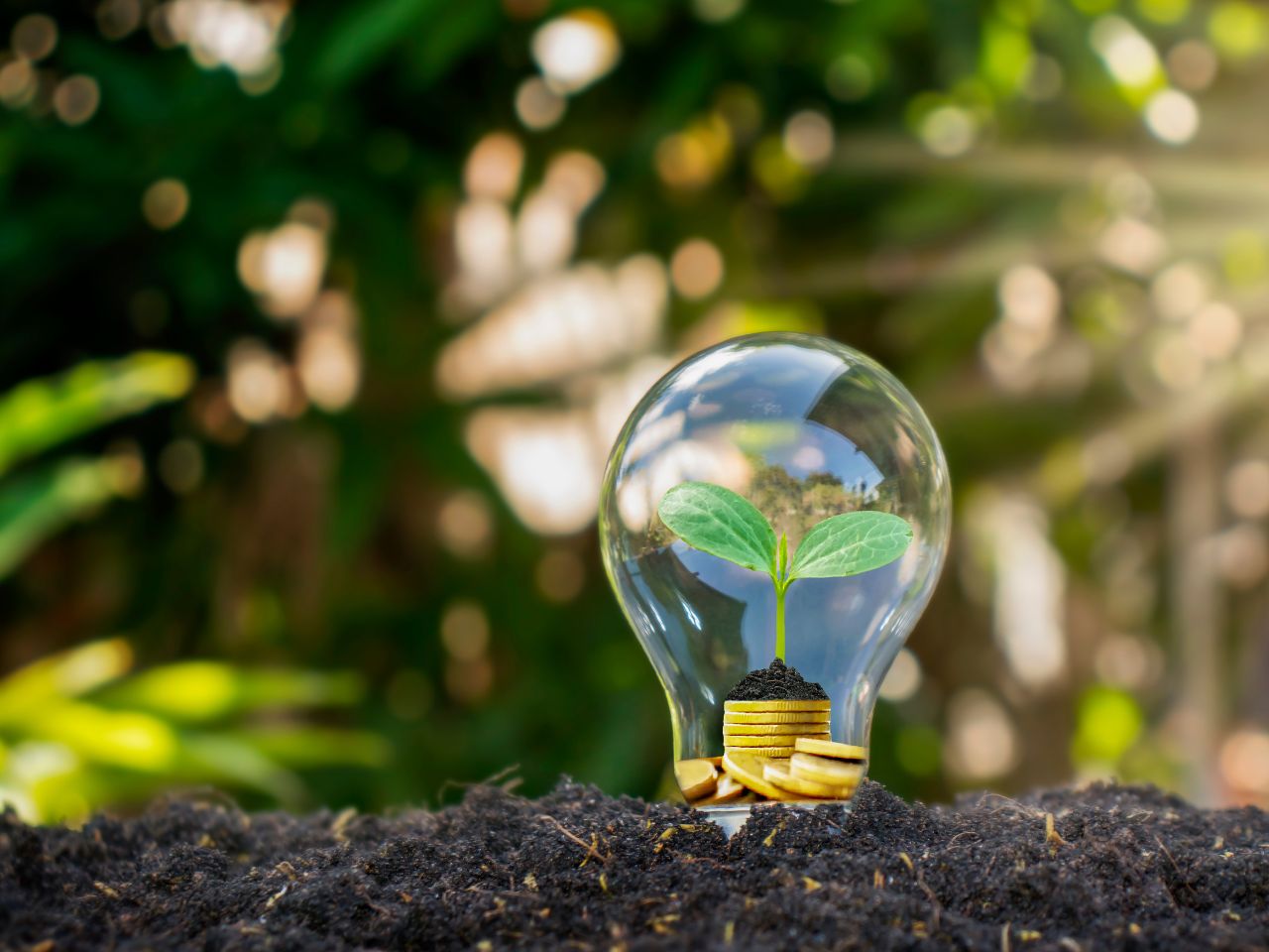 découvrez des solutions durables en matière d'énergie pour réduire votre empreinte carbone et économiser sur vos factures. explorez des technologies innovantes et des pratiques écologiques pour un avenir énergétique responsable.