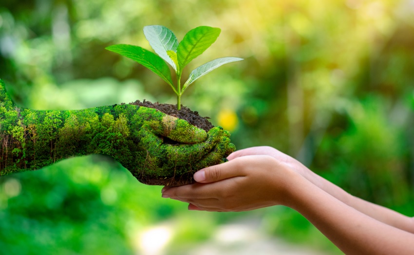 découvrez des solutions éco-responsables innovantes pour bâtir un avenir durable. engagez-vous aujourd'hui pour préserver notre planète tout en bénéficiant d'alternatives respectueuses de l'environnement.