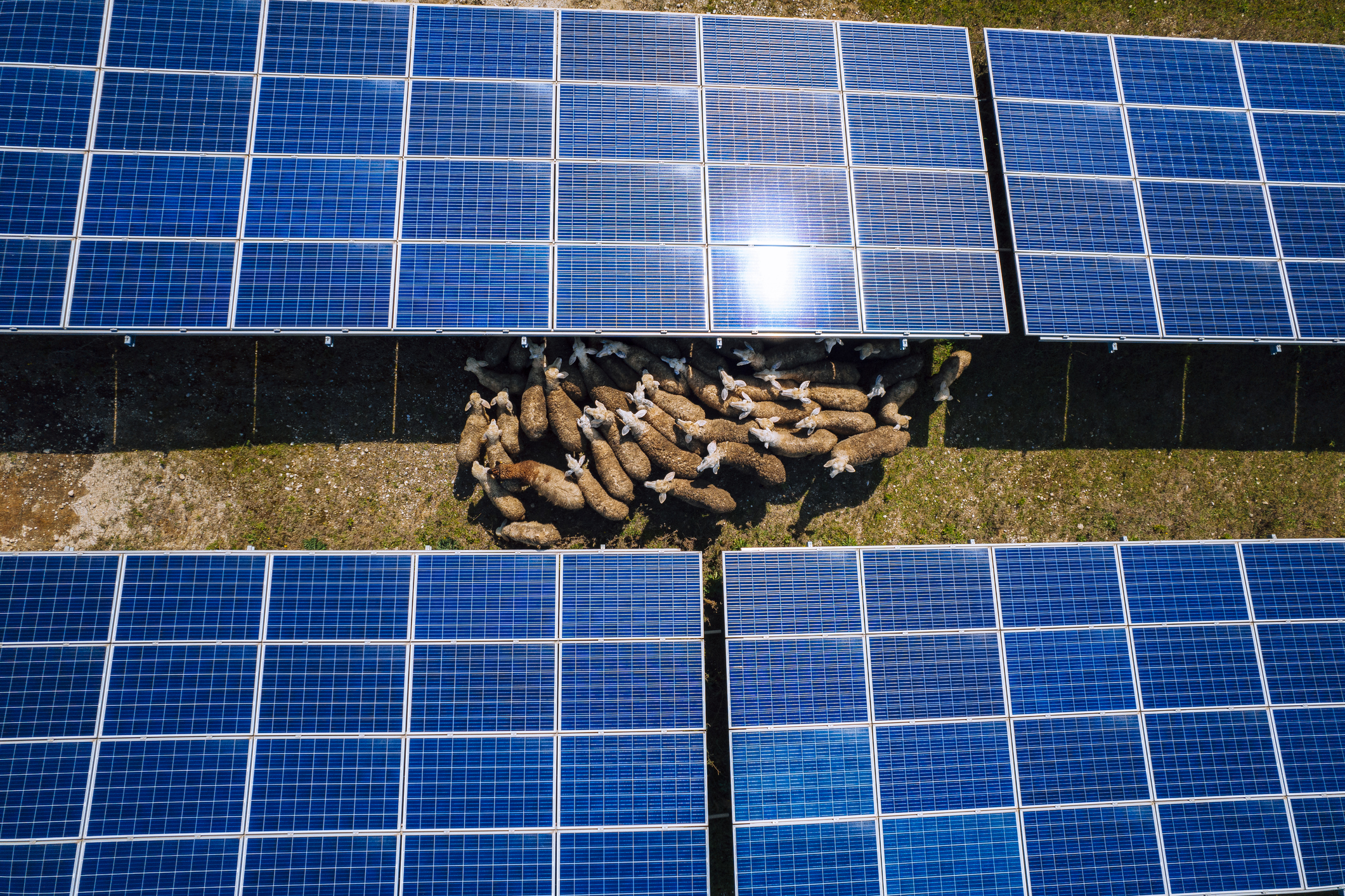 découvrez les enjeux et les avantages de la juxtaposition énergétique, une approche innovante qui combine différentes sources d'énergie pour optimiser l'efficacité et réduire l'impact environnemental. analysez les stratégies, les technologies et les bénéfices économiques d'une telle synergie dans le secteur énergétique.