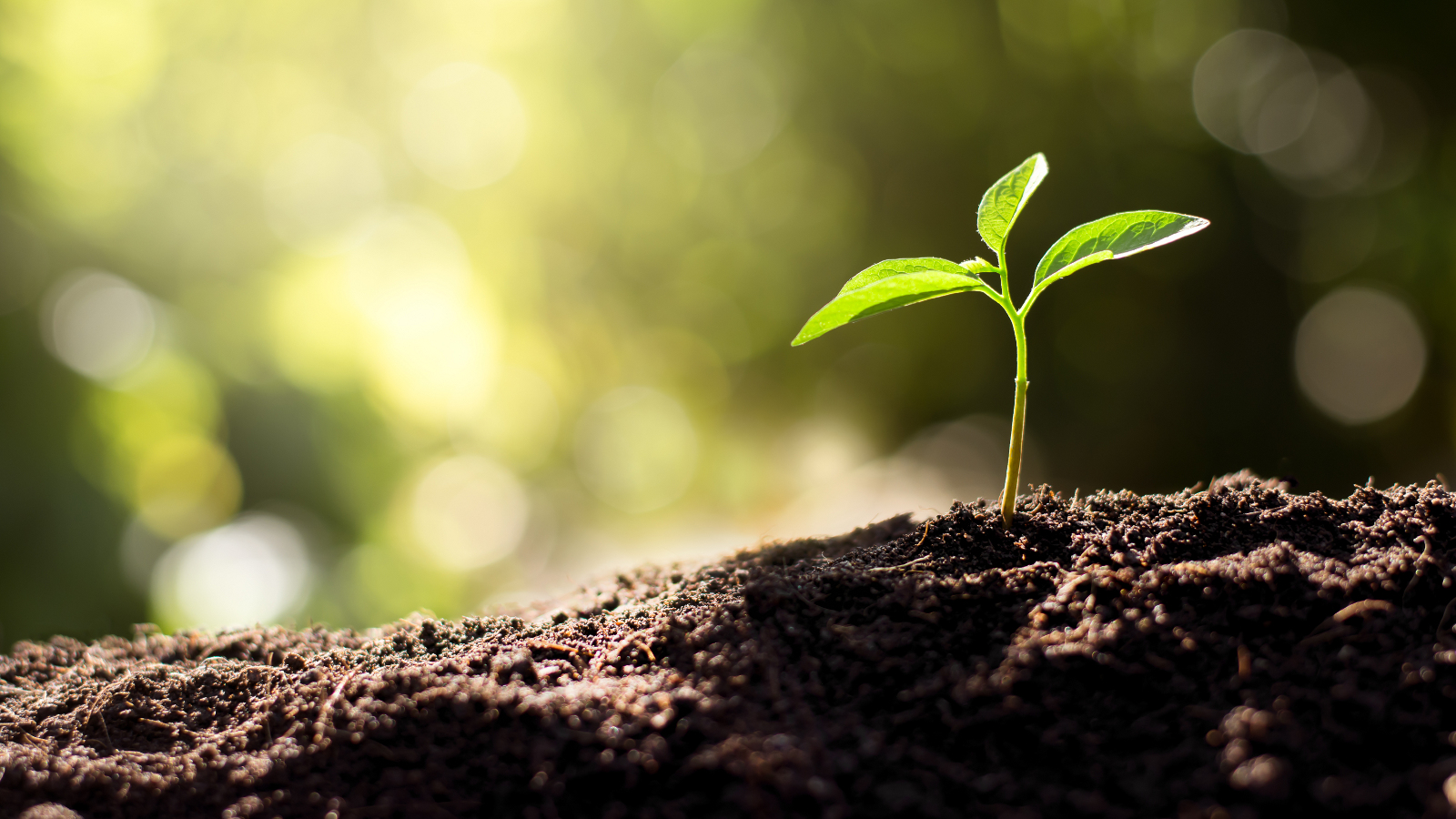 découvrez comment la loi énergie climat impacte le développement des installations photovoltaïques en france. informez-vous sur les nouvelles régulations, les incitations financières et les objectifs de transition énergétique liés aux énergies renouvelables.