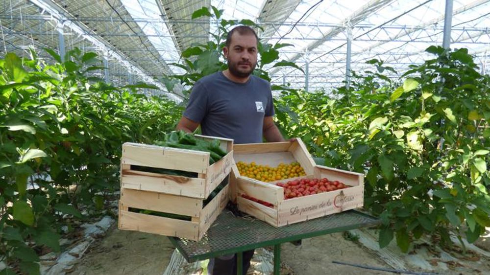 découvrez les avantages des serres photovoltaïques : une solution innovante qui allie agriculture durable et production d'énergie renouvelable. optimisez vos cultures tout en réduisant votre empreinte carbone.