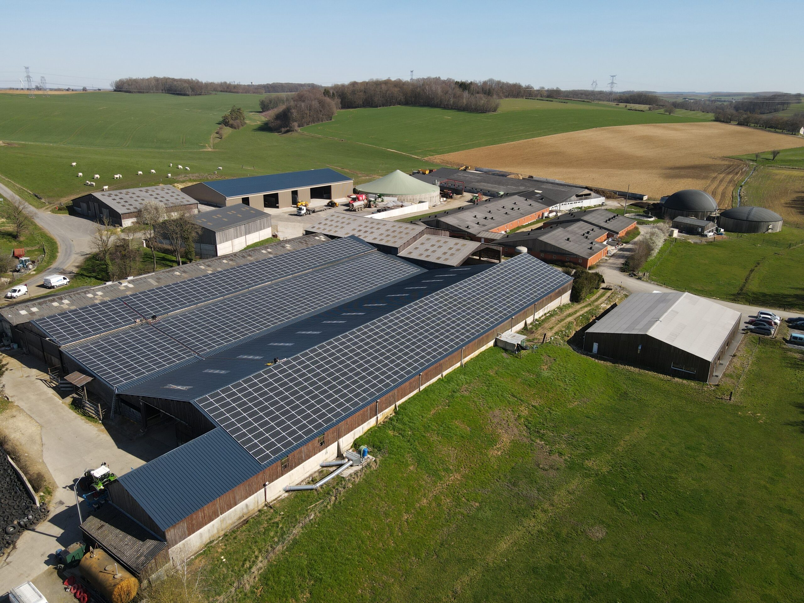 découvrez comment le photovoltaïque agricole transforme les exploitations en alliant durabilité et rentabilité. explorez les avantages de l'énergie solaire pour les agriculteurs et les méthodes d'installation adaptées aux besoins du secteur.