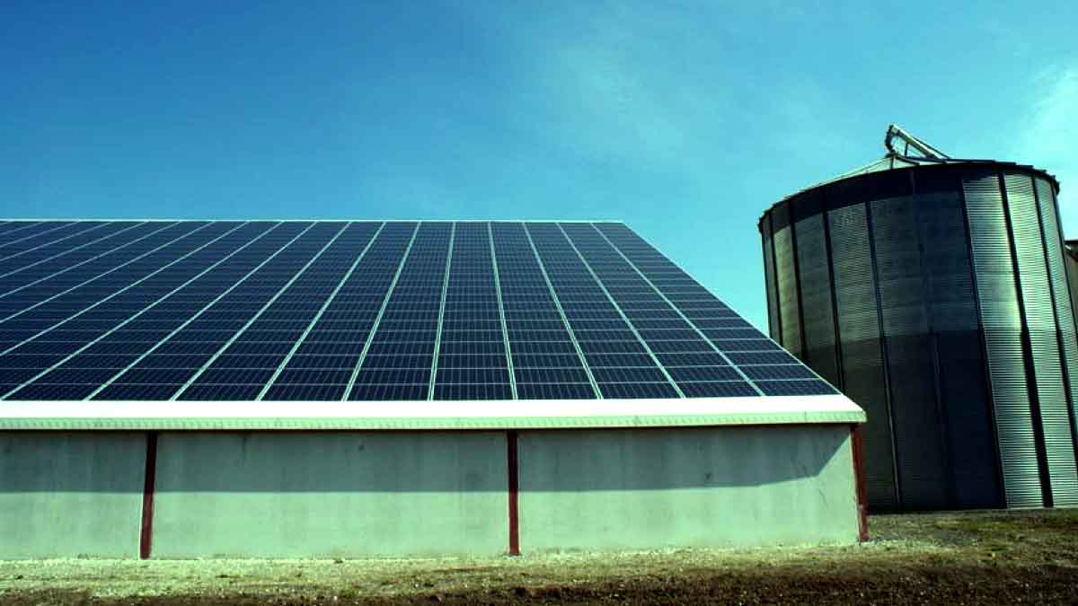 découvrez les avantages d'un toit photovoltaïque : une solution durable pour produire votre propre électricité, réduire vos factures énergétiques et contribuer à la protection de l'environnement. transformez votre toit en une source d'énergie renouvelable et rentable.