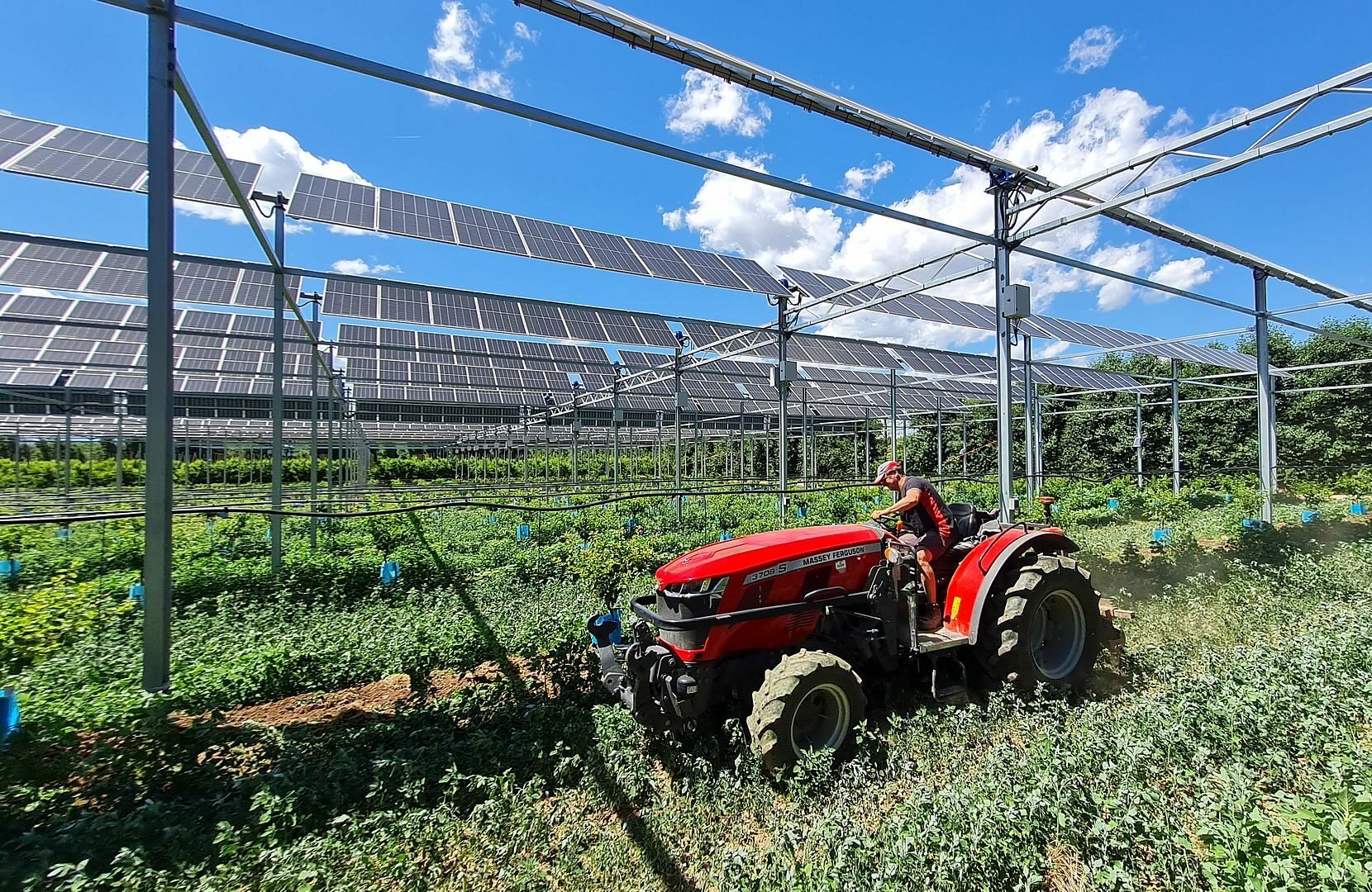 découvrez les avantages de l'agri photovoltaïque, une solution innovante qui allie agriculture et production d'énergie solaire. optimisez vos terres agricoles tout en contribuant à la transition énergétique et en générant des revenus supplémentaires.