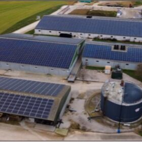 découvrez comment l'intégration des toits photovoltaïques dans l'élevage bovin peut révolutionner l'agriculture. explorez les avantages écologiques et économiques de cette solution durable qui allie production d'énergie et bien-être animal.