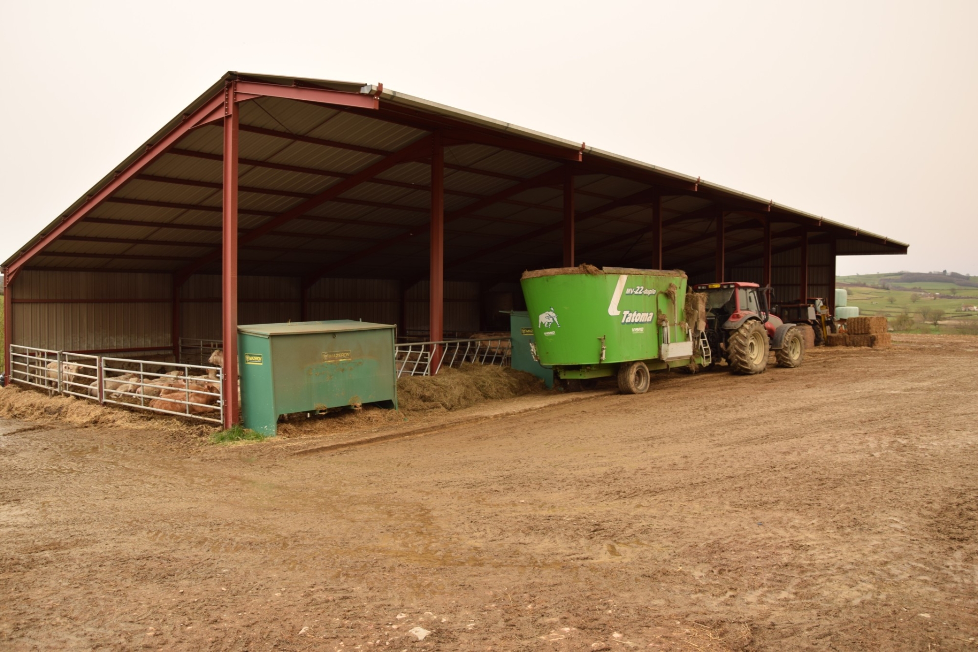 découvrez comment maximiser la rentabilité de votre élevage bovin grâce aux solutions photovoltaïques. optimisez vos coûts d'énergie tout en soutenant une agriculture durable.