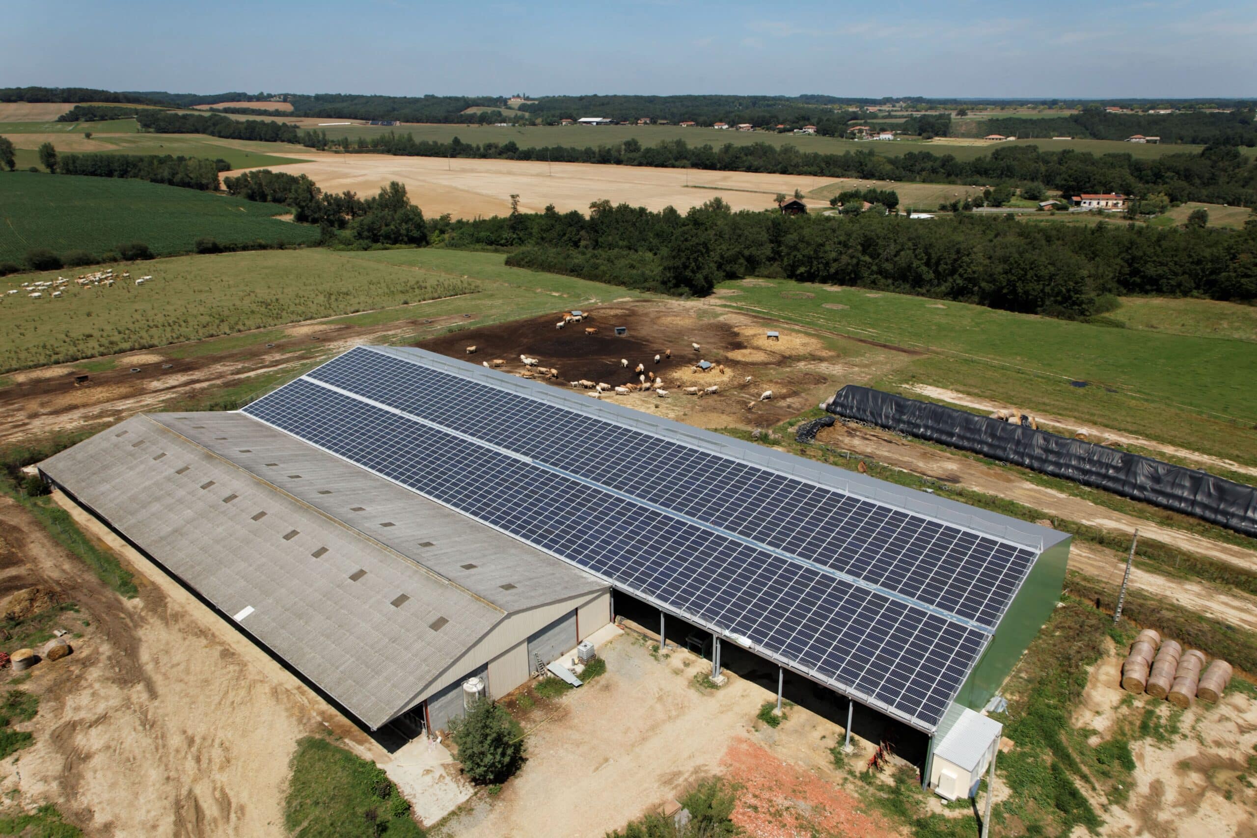 découvrez comment optimiser la rentabilité de vos installations photovoltaïques agricoles. maximisez vos revenus tout en contribuant à une agriculture durable grâce aux énergies renouvelables.