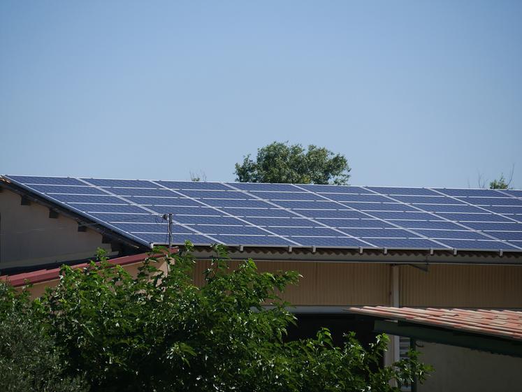découvrez comment maximiser la rentabilité de vos installations photovoltaïques agricoles grâce à des stratégies optimisées, des aides financières et des technologies innovantes. transformez votre exploitation en une source de revenus durable tout en contribuant à la transition énergétique.