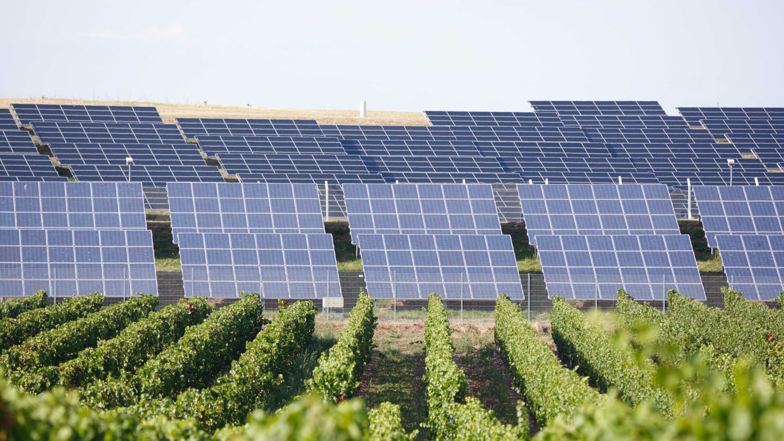 découvrez les avantages du photovoltaïque pour l'agriculture : une solution durable pour optimiser votre production, réduire vos coûts énergétiques et contribuer à la transition écologique. explorez comment l'énergie solaire peut transformer vos exploitations agricoles.