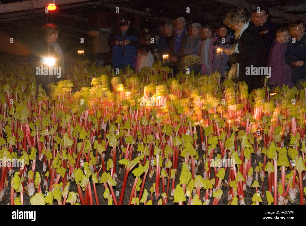 découvrez notre hangar triangle, une solution innovante pour le stockage et les activités industrielles. avec son design moderne et sa structure robuste, ce hangar s'adapte à tous vos besoins. explorez les avantages d'un espace optimisé et sécurisé.