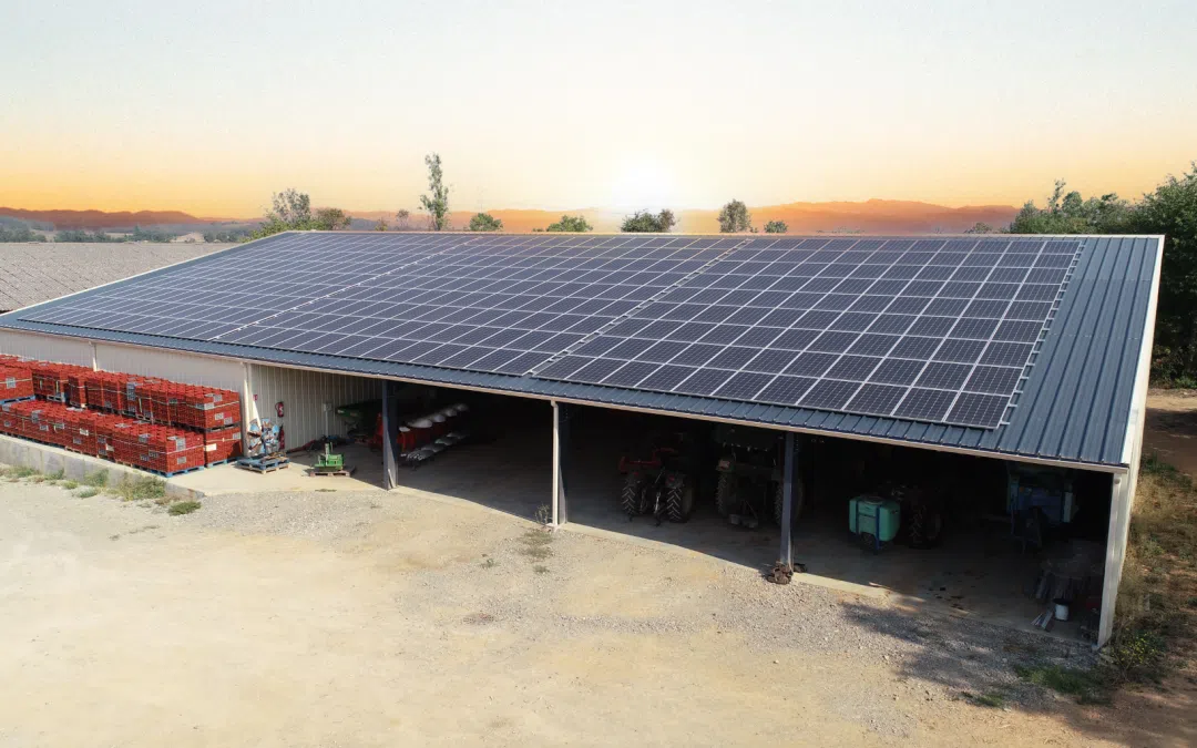 découvrez l'importance du photovoltaïque dans la transition énergétique. informez-vous sur ses avantages, son fonctionnement et son rôle essentiel pour un avenir durable.