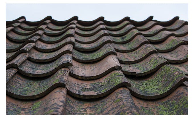 découvrez les aides financières disponibles pour l'amélioration et la rénovation de votre toiture. informez-vous sur les subventions, prêts et crédits d'impôt pour réduire vos coûts de travaux tout en augmentant la valeur de votre bien.