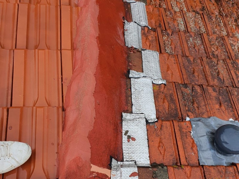 découvrez nos services de rénovation de toitures, alliant expertise et matériaux de qualité pour redonner vie à votre maison. protégez votre habitation des intempéries tout en améliorant son esthétique avec nos solutions personnalisées.