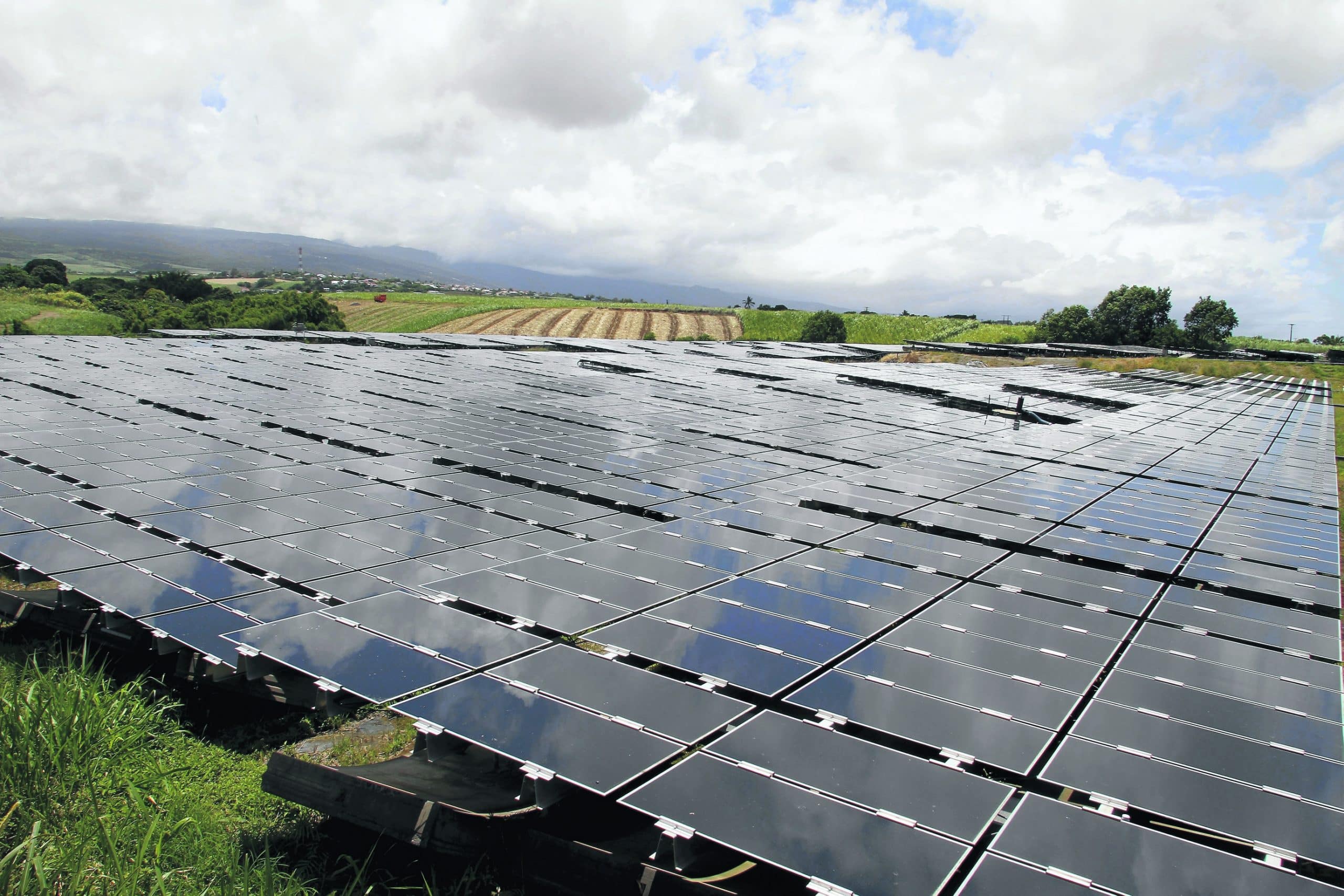 découvrez le rachat photovoltaïque en 2010, une opportunité unique pour investir dans l'énergie solaire et bénéficier d'un tarif avantageux. informez-vous sur les dispositifs existants, les avantages financiers et comment optimiser votre projet d'énergie renouvelable.