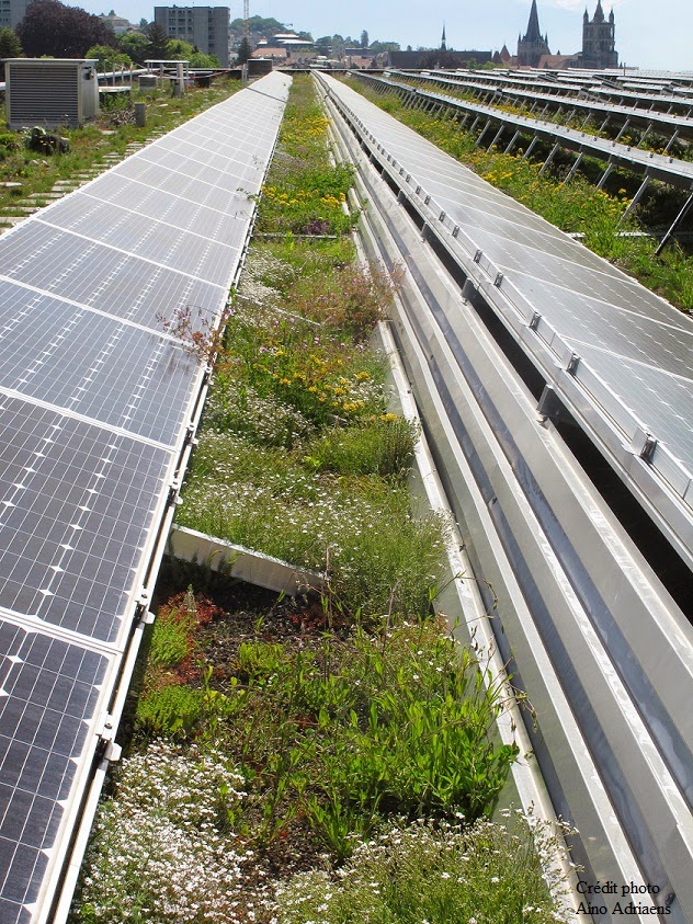 découvrez les avantages de la toiture biosolaire, une solution innovante qui allie durabilité et production d'énergie renouvelable. transformez votre toiture en une source d'énergie grâce à des panneaux solaires intégrés, tout en préservant l'esthétique de votre bâtiment. optez pour une toiture qui respecte l'environnement et réduit vos factures d'énergie.