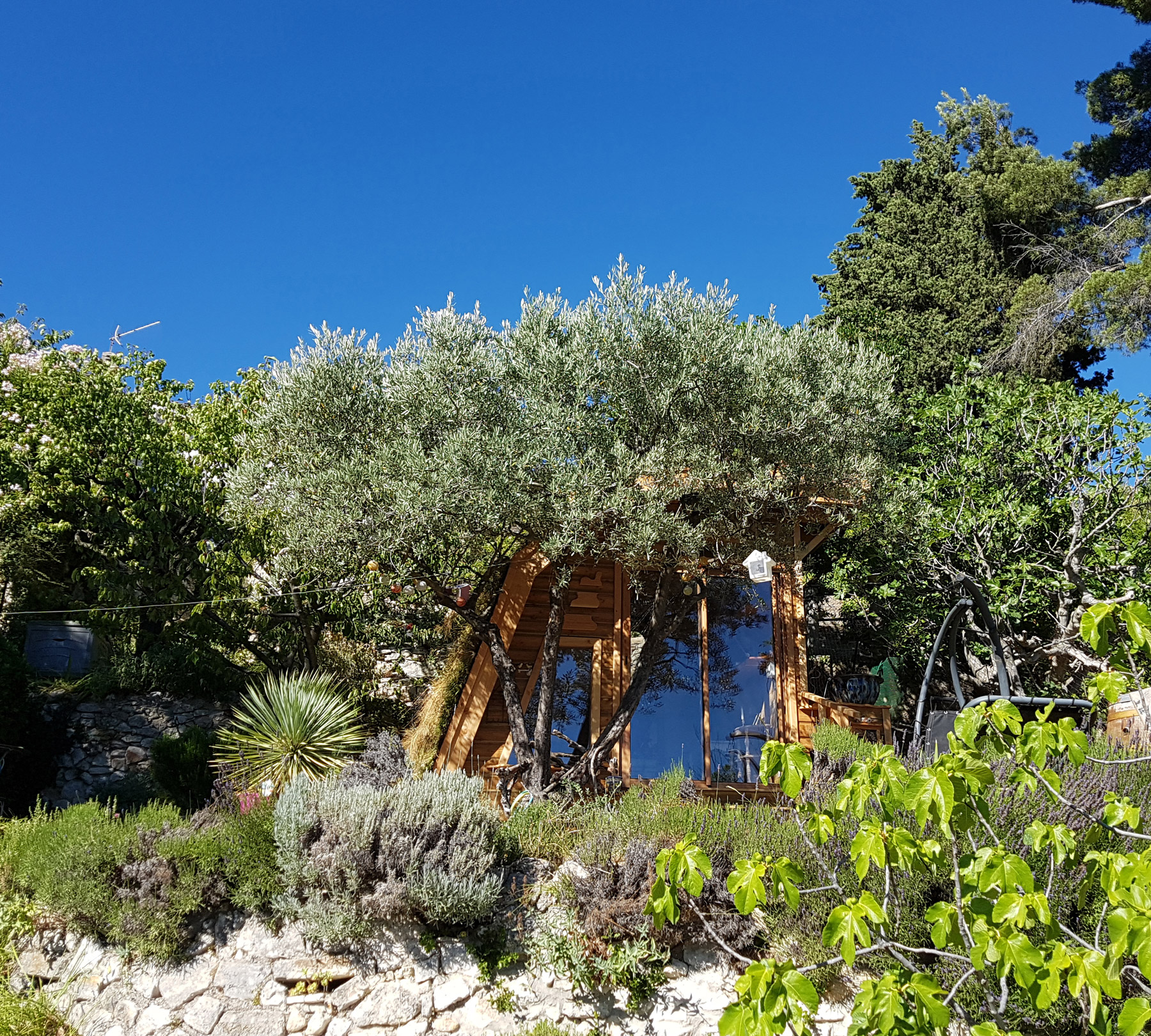 découvrez notre abri végétal, une solution idéale pour protéger vos plantes tout en ajoutant une touche esthétique à votre jardin. réalisé à partir de matériaux durables, cet abri vous permettra de créer un environnement sain pour vos végétaux, tout en embellissant votre espace extérieur.