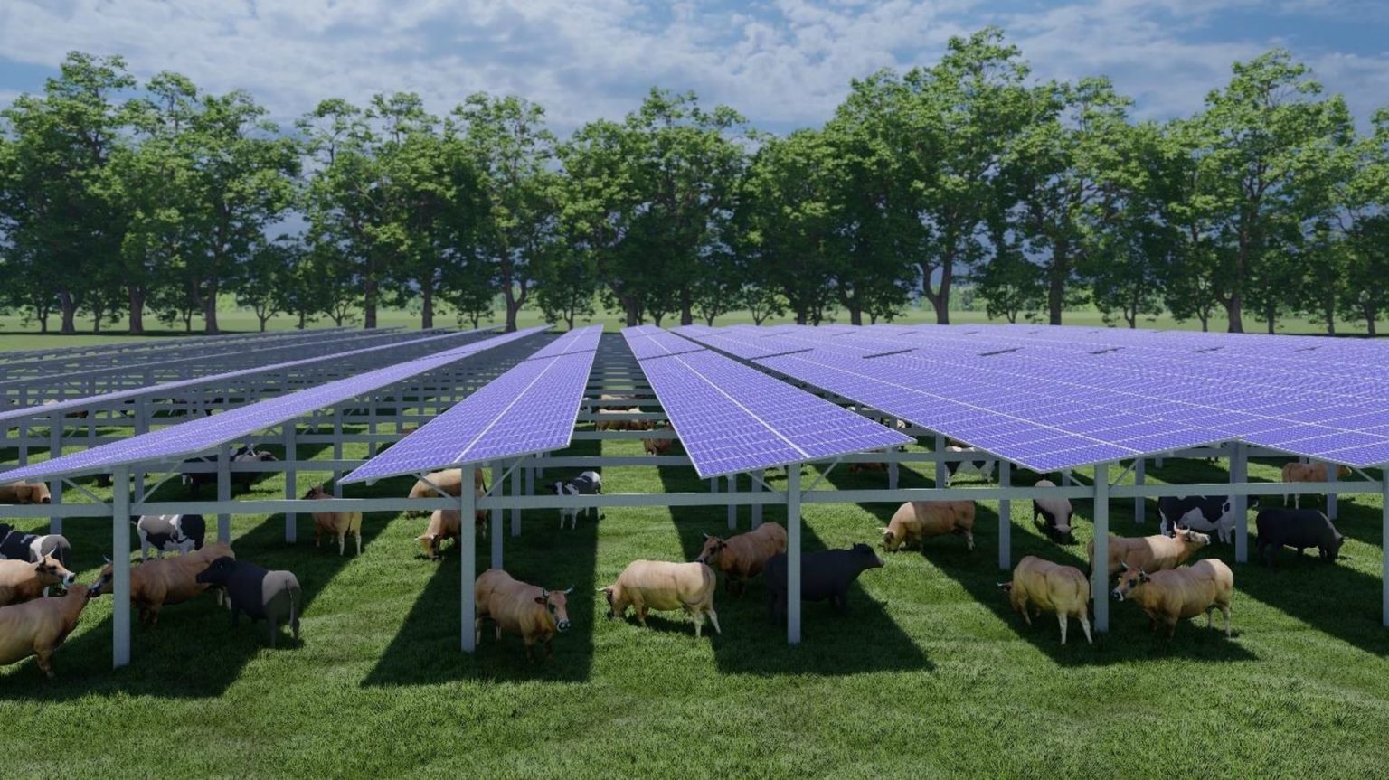 découvrez l'agri photovoltaïque, une solution innovante qui combine agriculture et production d'énergie solaire. optimisez vos terrains cultivables tout en contribuant à la transition énergétique. explorez les avantages, techniques et applications de cette approche durable.