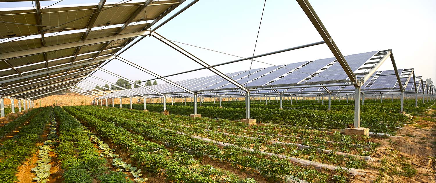 découvrez comment l'agriculture photovoltaïque transforme le secteur agro-alimentaire en alliant production alimentaire et énergies renouvelables. explorez les bénéfices écologiques et économiques de cette pratique innovante pour un avenir durable.