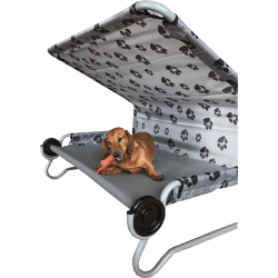 découvrez comment les animaux peuvent s'adapter à la vie en hauteur et explorer leur comportement fascinant sur les toits. apprenez-en plus sur les espèces qui font des toits leur terrain de jeu et leur impact sur l'environnement urbain.