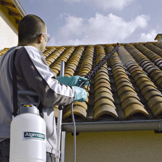 découvrez notre solution anti mousse pour toit, conçue pour éliminer les lichens, mousses et algues tout en prolongeant la durée de vie de votre toiture. protégez votre maison des dommages causés par l'humidité et redonnez à votre toit son éclat d'origine.