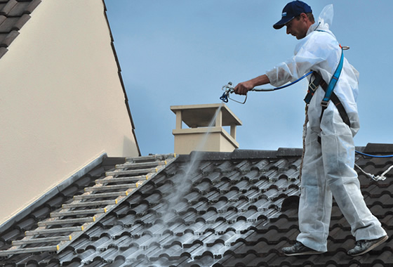 découvrez notre guide sur l'anti mousse pour toit : des solutions efficaces pour éliminer et prévenir les mousses, lichens et algues qui détériorent votre toiture. protégez votre maison et prolongez la durée de vie de votre toit grâce à nos conseils pratiques et produits recommandés.