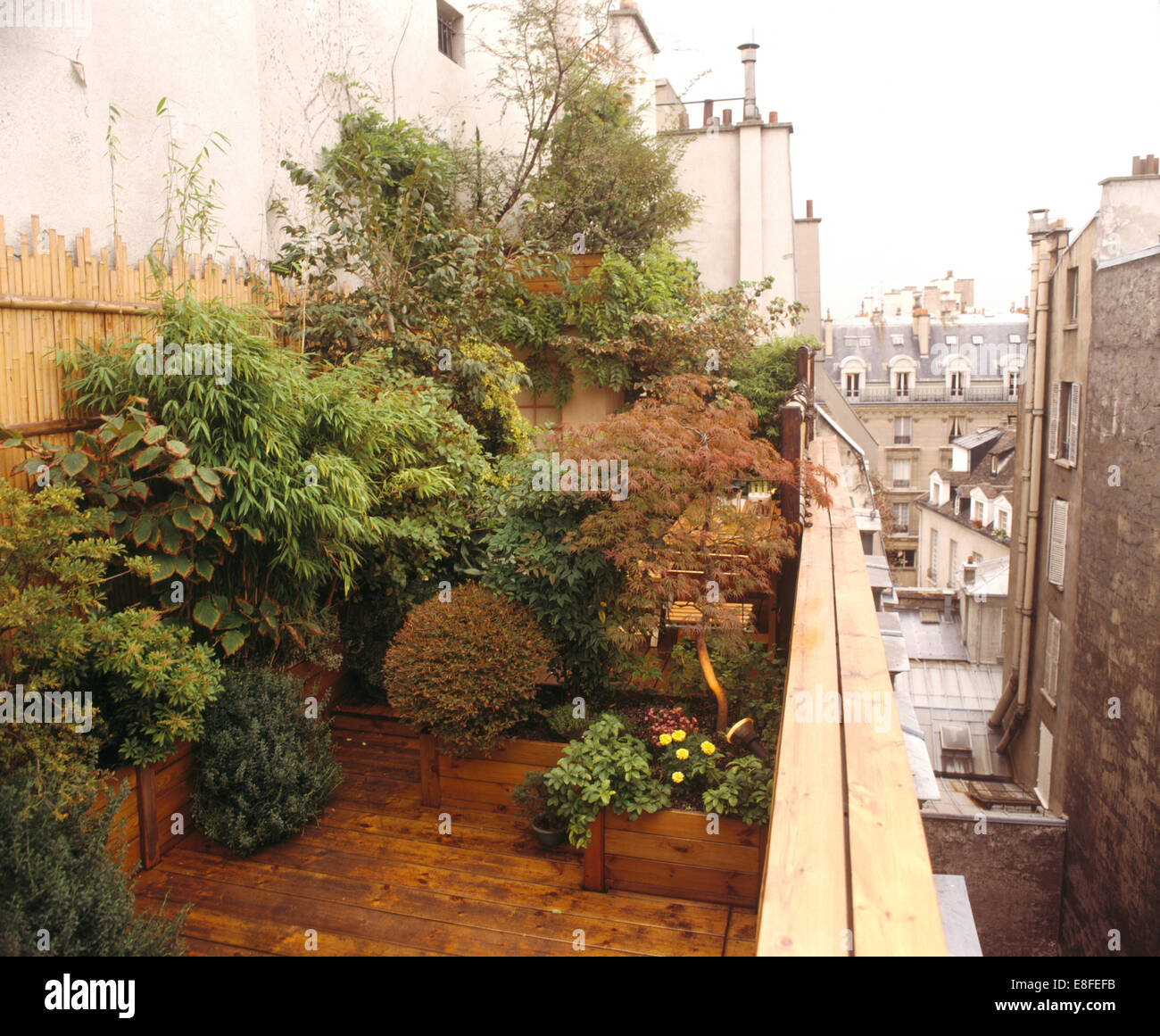 découvrez notre guide sur les arbustes pour toits, des plantes adaptées pour embellir et verdir vos espaces extérieurs en hauteur. idéal pour les projets de jardinage urbain, apprenez à choisir les meilleures espèces pour votre toiture végétalisée.