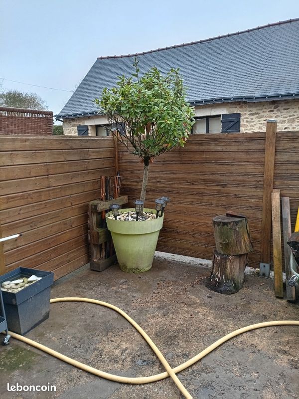 découvrez l'univers des arbustes de toit, une solution innovante pour allier écologie et esthétique dans vos aménagements extérieurs. apprenez à sélectionner, cultiver et entretenir ces plantes adaptées aux toitures végétalisées pour apporter une touche de verdure à votre environnement.