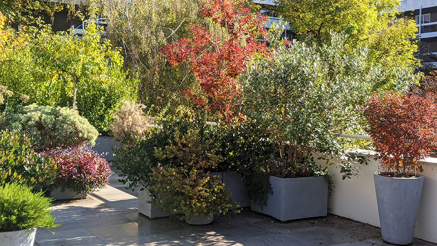 découvrez les services d'un architecte spécialisé dans la conception de terrasses à paris. transformez votre espace extérieur en un lieu de détente et de convivialité, alliant style, fonctionnalité et expertise.