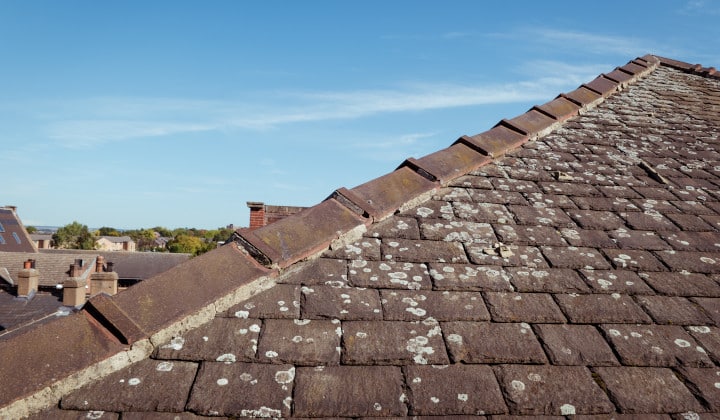 découvrez les avantages de l'ardoise toiture : durabilité, esthétique et performance. apprenez comment ce matériau noble protège efficacement votre maison tout en apportant une touche d'élégance intemporelle.