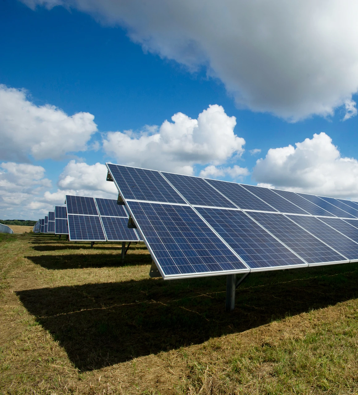 protégez votre investissement avec une assurance adaptée pour vos panneaux solaires. découvrez nos solutions pour sécuriser votre installation contre les risques et optimiser votre rentabilité.