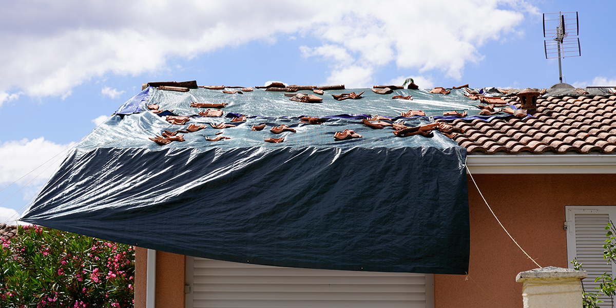 découvrez assur'toit, votre partenaire idéal pour toutes vos solutions d'assurance habitation. protégez votre maison et vos biens grâce à des offres sur mesure et des conseils d'experts.