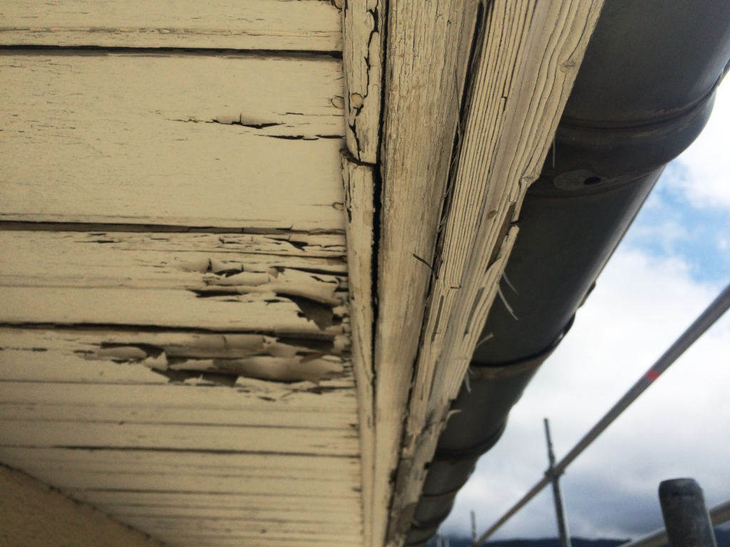 découvrez tout sur les avant-toits : leur importance architecturale, les matériaux utilisés, et comment ils protègent votre maison des intempéries tout en ajoutant une touche esthétique. explorez nos conseils pour choisir et entretenir votre avant-toit.